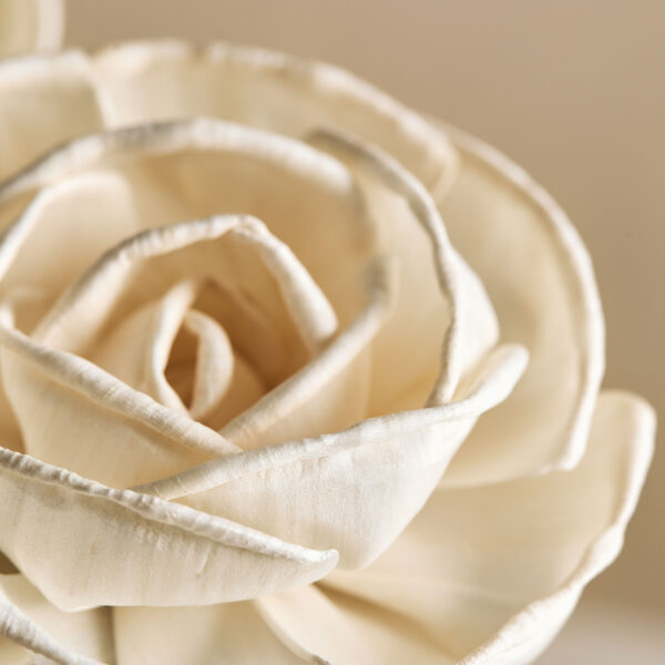 Sola Flower