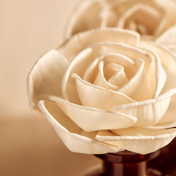 Sola Flower - Amber Collection