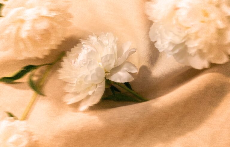 Peony & Muguet