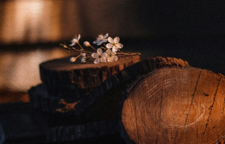White Flowers & Cedar